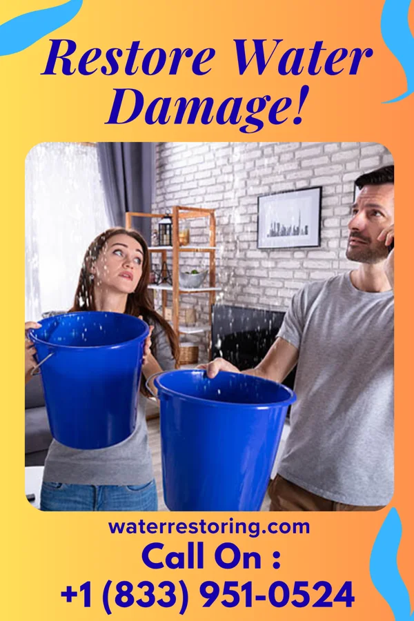water restoration Trusted Sewage Cleanup Specialists Huntington Center