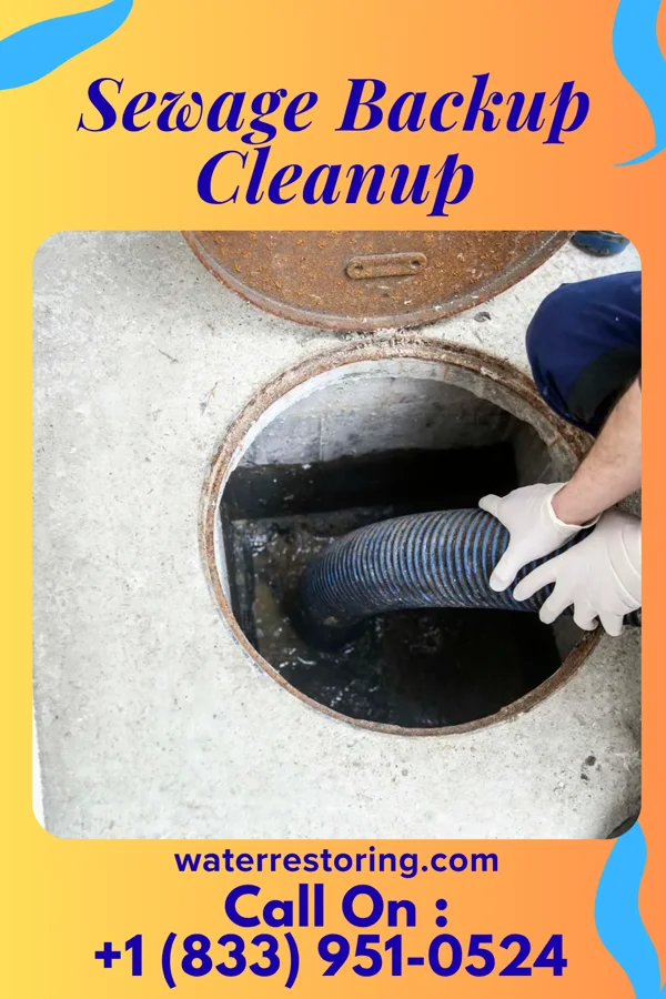 Sewage Backup Cleanup in Huntington Center, VT