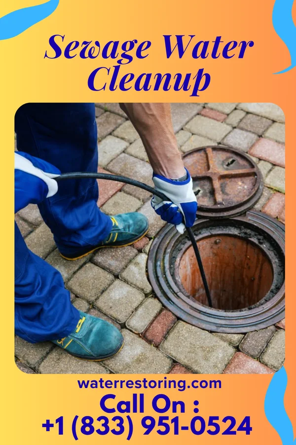 Sewage Water Cleanup in Huntington Center, VT