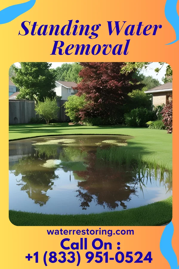 Standing Water Removal in Huntington Center, VT